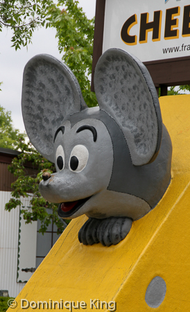 Cheese Mouse Frankenmuth MI Cheese Mouse Frankenmuth MI