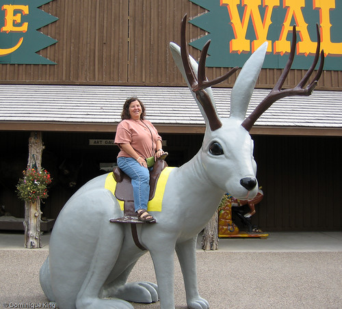 Wall Drug, South Dakota-3